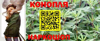 PSILOCYBIN Будённовск