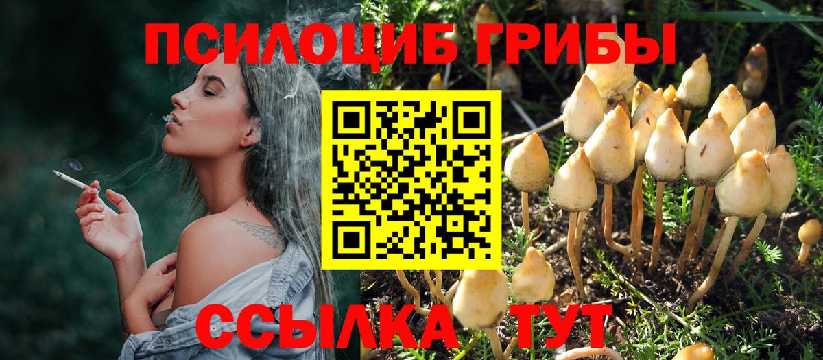 Псилоцибиновые грибы GOLDEN TEACHER  Вход с VPN  Тавда  Псилоцибиновые грибы Cubensis 
